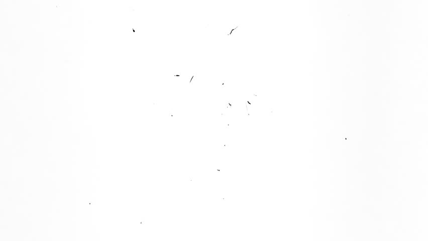 Shutterstock Video