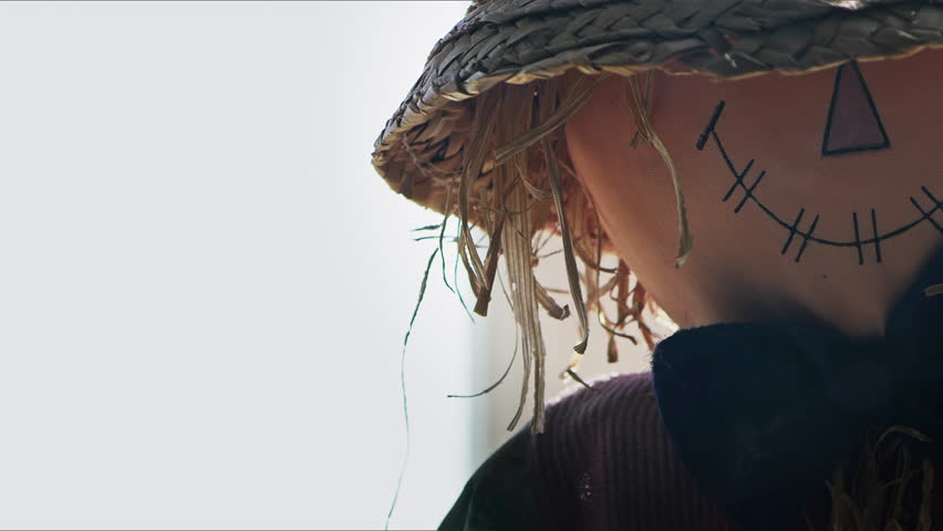 Halloween Concept Scarecrow Man with Bow Tie