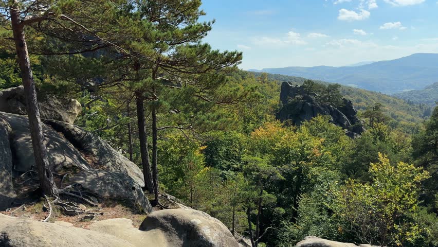 High isolated rocky ledges of sandstone with steep vertical sides in mountain forest with growing pines on tops in autumn sunny day, view when panning
