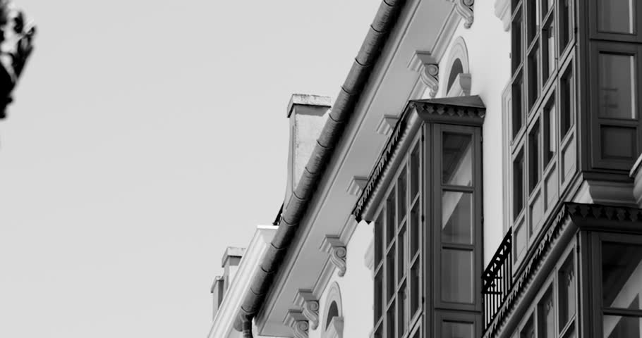 Monochrome view of a luxury property with elegant architectural details, evoking themes of investment and high-end real estate in a classic, refined style - zoom-out