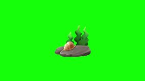 underwater life, animation, green screen background - Powered by Shutterstock - Get 15% off with code: PIKWIZARD15