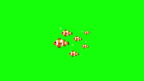 underwater life, animation, green screen background - Powered by Shutterstock - Get 15% off with code: PIKWIZARD15