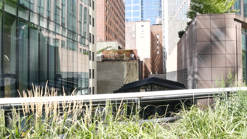 New York City High Line elevated greenway, Manhattan Midtown, USA. People in urban park. Promenade in garden greenery. American street life, Chelsea highline near Hudson Yards. Building architecture.