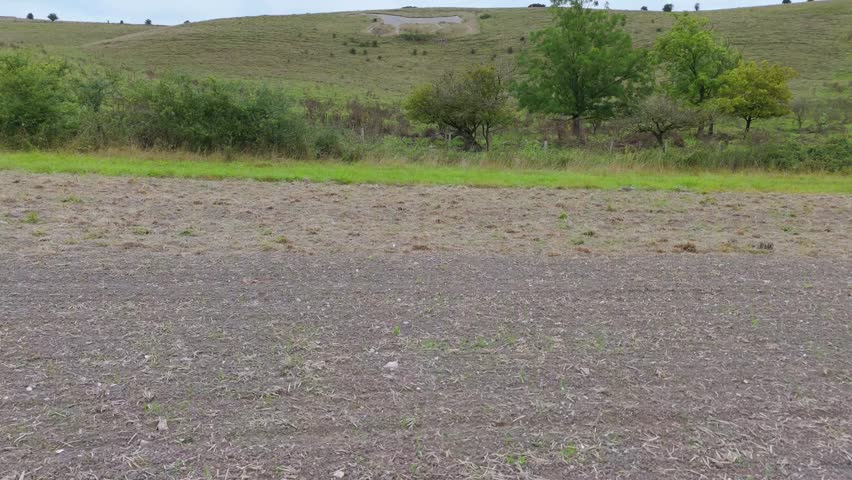 Aerial clip of the chalk landmark Alton Barnes White Horse, near Alton Barnes, Wiltshire, England, UK