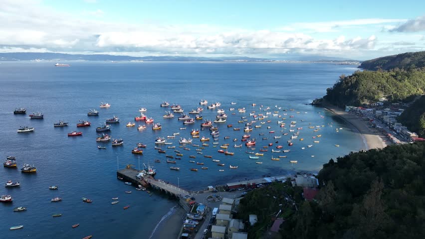 Aerial View of Busy Fishing Harbor with Boats Anchored in Calm Waters