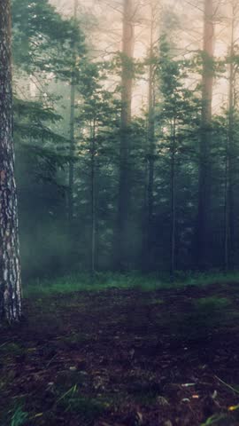 A fur covered Sasquatch Bigfoot character caught on camera walking in a stylised forest scene.