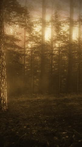 Captured old style footage of a Bigfoot character walking in a dark forest scene.