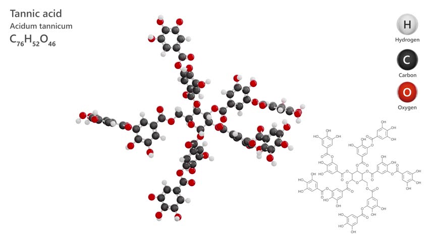 Tannic Acid. Animated 3D model of a molecule. Molecular formula: C76H52O46. Chemical model: Ball and sticks. White background. 3D rendering. Seamless loop.