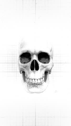 A looping old film and medical chart style graphic of a spinning skull with a grunge and stop motion effect.