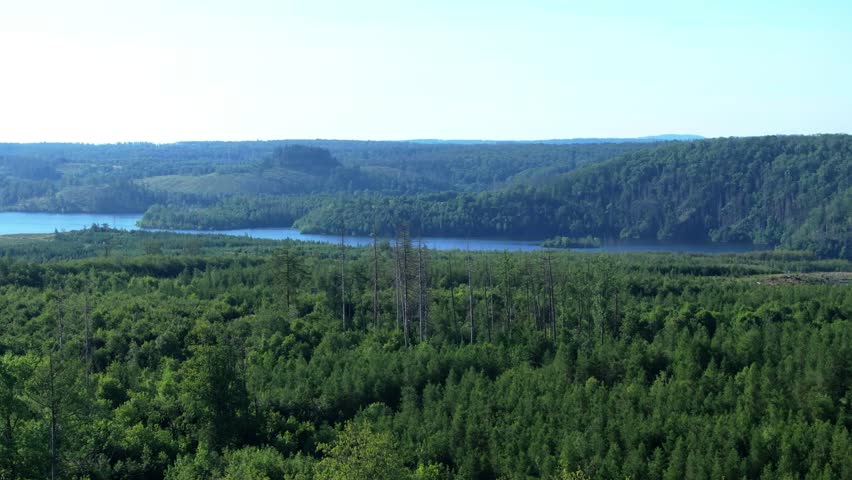 Harz low mountain range in Germany | landscape | lake | dead forest