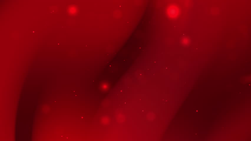 Shutterstock Video