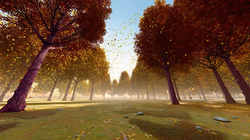 Falling leaves in the forest in late autumn