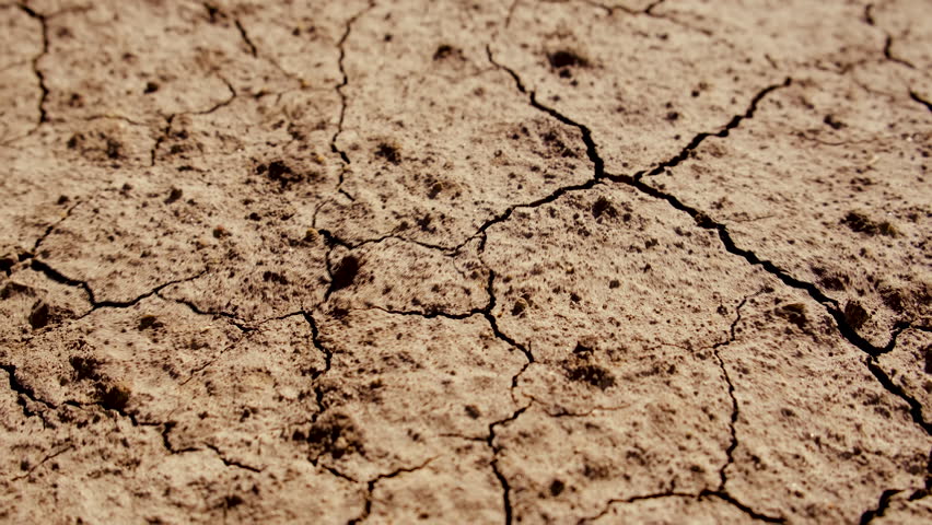Texture dry cracked soil. Selective focus.