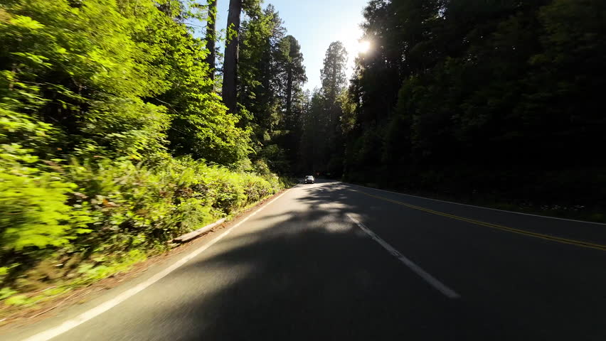 Redwood National Park Del Norte Coast 07 Rear View 101 Northbound Driving Plates of North California USA Ultra Wide