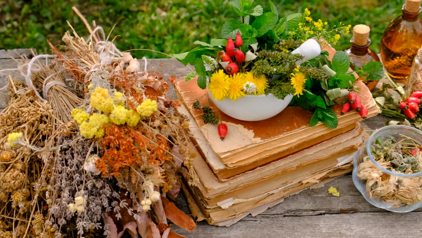Medicinal herbs and flowers homeopathy selective focus.