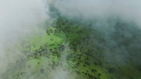 Drone shot through clouds over forest in mist with circle rainbow - Powered by Shutterstock - Get 15% off with code: PIKWIZARD15