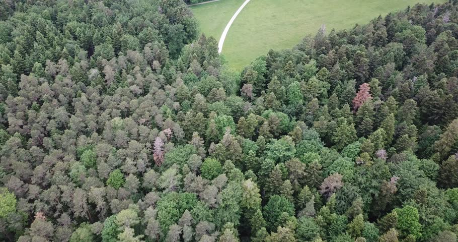 Aerial view, drone flight over Black Forest on summer day, Germany