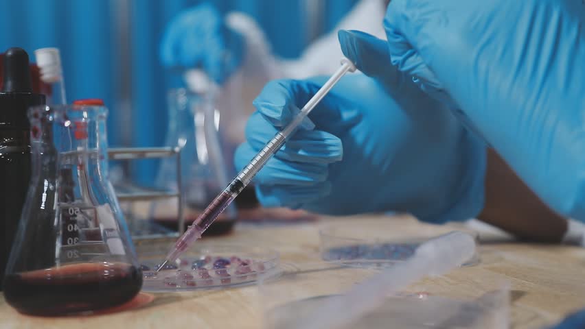 a scientist is working in a laboratory, a chemical researcher is preparing sample for a vaccine against a virus, work in lab concentrate is the most important because chemicals are dangerous