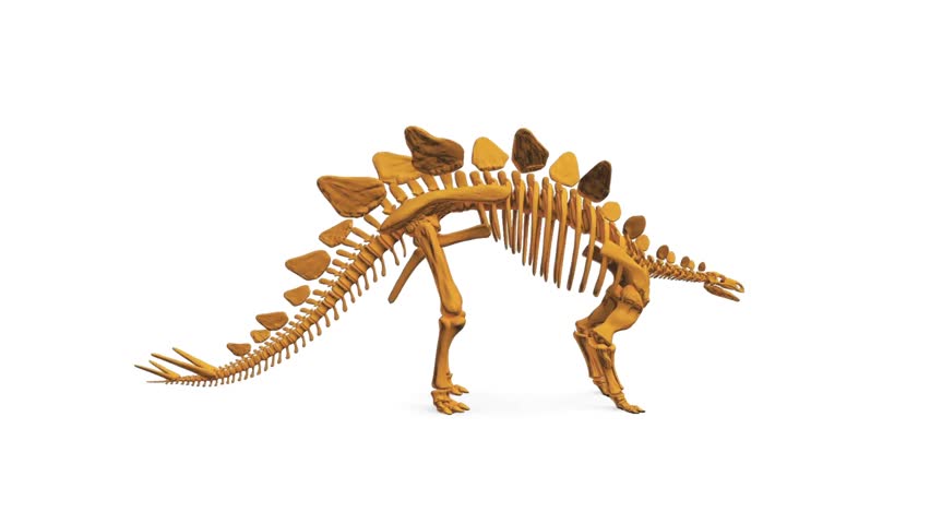 Dangerous Dinosaurs Coloring HD Video
Dinosaur Skeleton HD Video