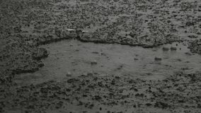 Close up of heavy rain on asphalt road with rain water splashes. Black asphalt background.Climate and weather concept.Abstarak pattern and texture video background - Powered by Shutterstock - Get 15% off with code: PIKWIZARD15