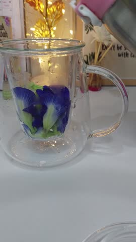 Make water infusion from butterfly pea flowers