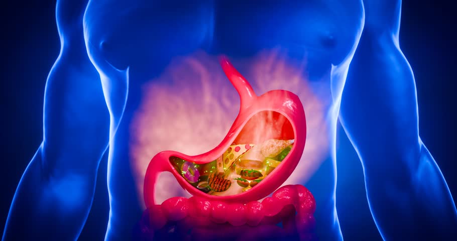 Gastric reflux and stomach burning caused by excessive stomach acid, depicting symptoms like digestion upset and intestinal inflammation in medical concept 3D Rendering.
