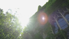 Old stone building covered with green plants and sun rays above the building - Powered by Shutterstock - Get 15% off with code: PIKWIZARD15