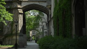 Old stone building covered with green plants  - Powered by Shutterstock - Get 15% off with code: PIKWIZARD15