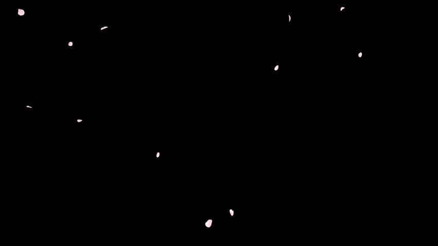 Cherry Blossom Petals Falling Loop on Alpha Channel. 3D rendering. Cherry blossom petal falling with alpha channel you can place on footage or background and easier to change colour on seamless loop.
