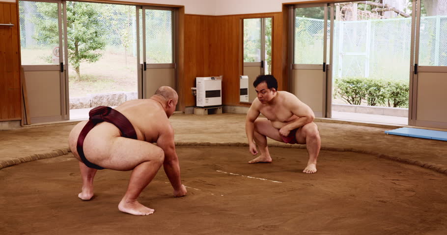 Sumo, wrestling and grapple with Japanese people in ring for training, tournament and competition fight. Culture sports, traditional and game with asian men in temple for festival, ritual or heritage