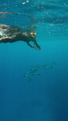 Vertical video, Woman snorkeler in bright wetsuit swims under surface of turquoise water and filming an action camera on school of Striped Mackerel with open mouths filtering for plankton