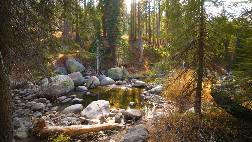 Overlooking a mountain pool of water from a creek. Filmed in the Sequoia National Park California 4k 60 fps