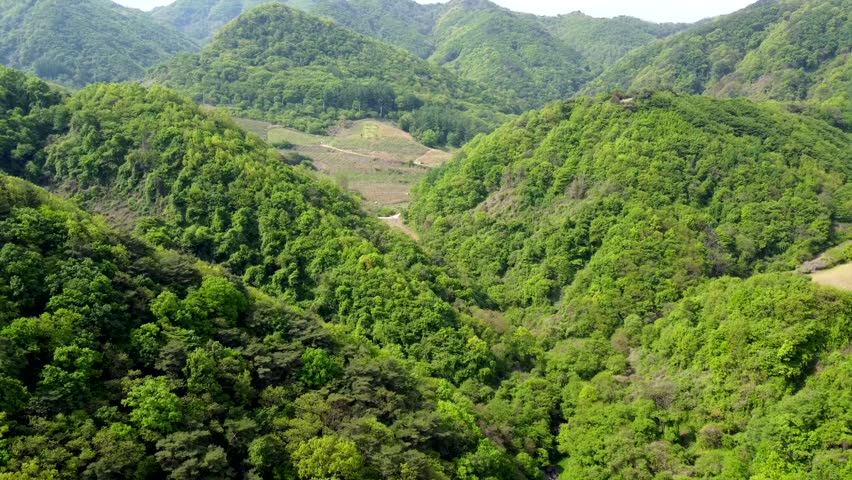 lake, nature, korea, mountain, trees