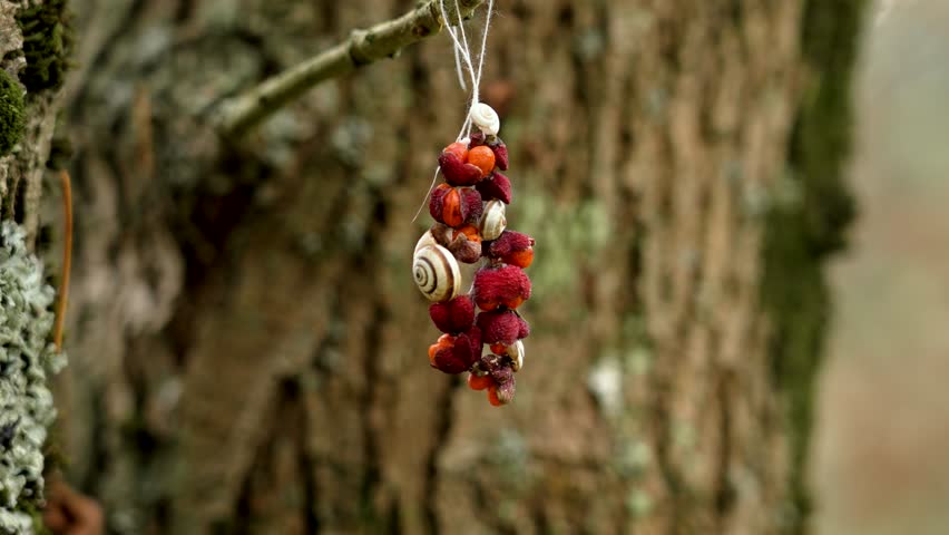 Handmade natural decoration hanging on a tree branch, crafted with red berries and small snail shells. Symbolizes nature, rustic charm. Eco-friendly art object