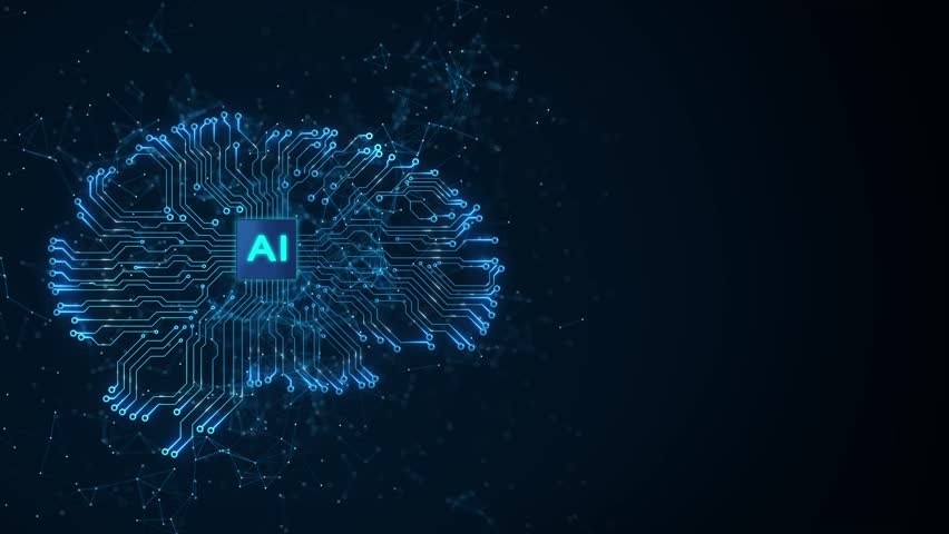 Shutterstock Video