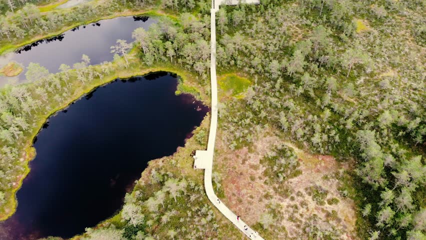 Aerial View of a Bog Boardwalk and Pond