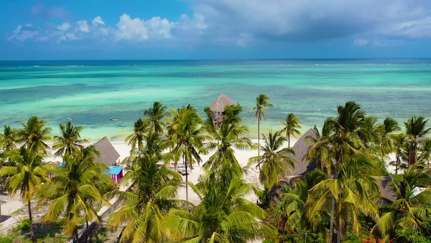 Zanzibar, the jewel of Tanzania, where white sands meet turquoise waters and every sunset tells a magical story. 🌊 