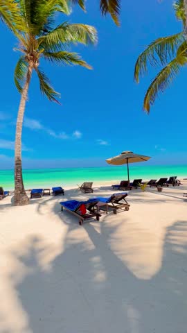 Zanzibar, the jewel of Tanzania, where white sands meet turquoise waters and every sunset tells a magical story. 🏝️ 