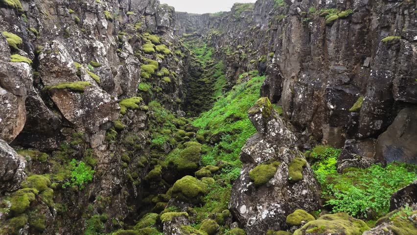 Flying through stone gorge in Thingvellir National Park, Iceland. Stones covered with green moss. Thingvellir National Park