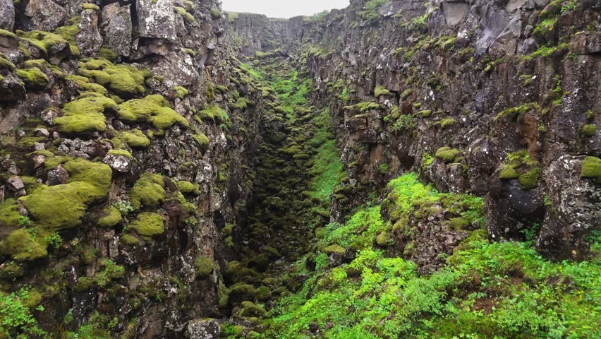 Flying through stone gorge in Thingvellir National Park, Iceland. Stones covered with green moss. Thingvellir National Park's stunning rift valley filled with lush greenery