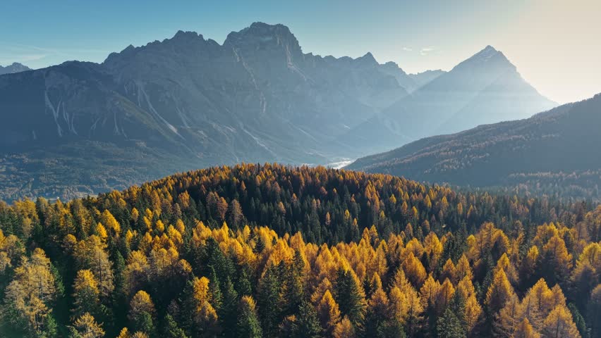 Fly in autumn Dolomites, Italy. Vibrant autumn landscape with golden trees and majestic mountains in the background. Yellow autumn trees at sunrise, aerial view