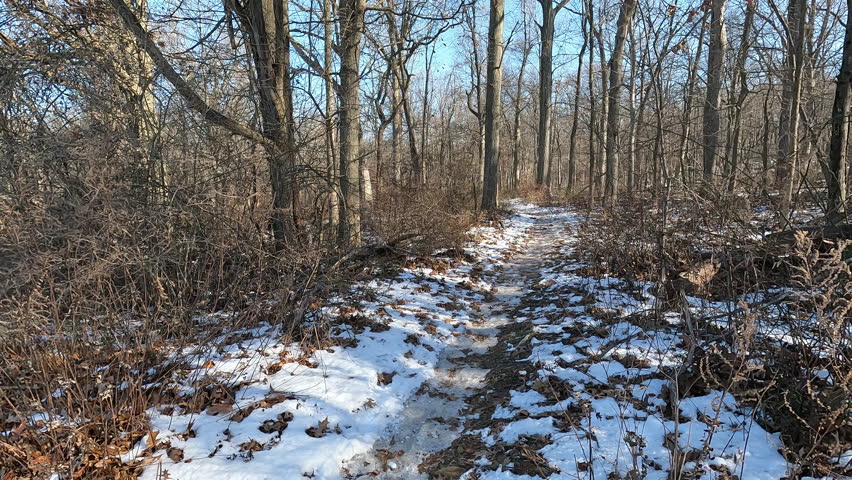 hiking the frozen trail in the park in winter