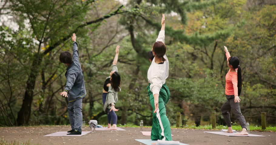 Asian people, nature and stretching with yoga class for zen, workout or fitness exercise together. Japanese, group or yogi with teacher or coach for balance, awareness or pilates on mat in forest