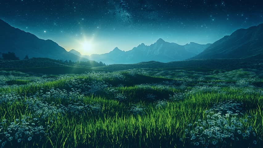 Abstract Grass Landscape by Night with Flowers under a Starry Sky - Loop - Fantasy Nature Background
