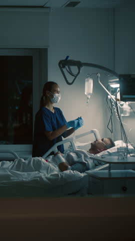 Shutterstock Video