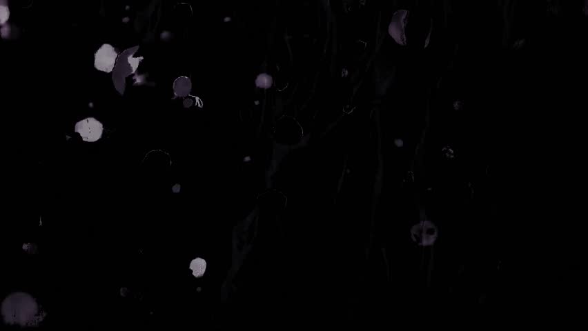 Grunge texture overlay background, punch hole, cine marks, dust and scratches, old film reel. High quality 4k footage