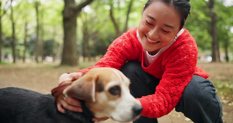 Woman, dog and happy for play at park, care and love with connection, excited and bonding in nature. Person, animal or pet beagle puppy with stroke, loyalty and training with trust on path in Japan