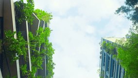 Vertical gardens on modern buildings. Green building concept. - Powered by Shutterstock - Get 15% off with code: PIKWIZARD15