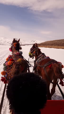 Frozen Cildir Lake, riding with horse carriage, vertical view