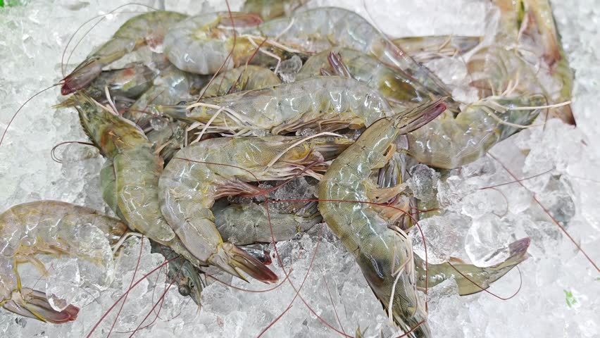 Fresh shrimps for sale in the market